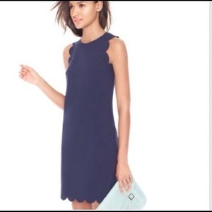 J. Crew Scalloped Laster cut dress.  Navy